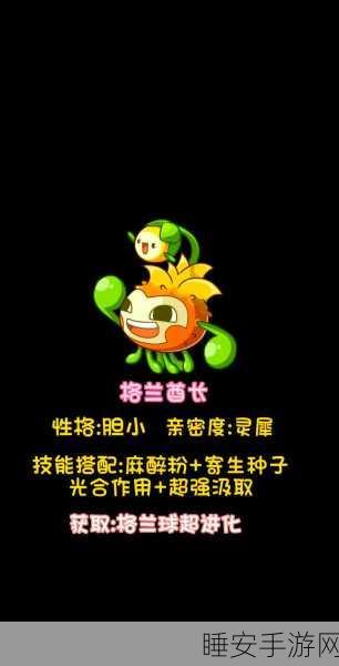 洛克王国深度解析,寄生菇菇是否值得培养?