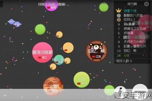 球球大作战进不去?原因分析与解决攻略大揭秘!