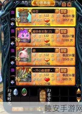 魔域法师宠物搭配指南，揭秘最佳BB选择