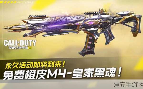 使命召唤手游，解锁皇家黑魂永久皮肤，全面攻略大揭秘