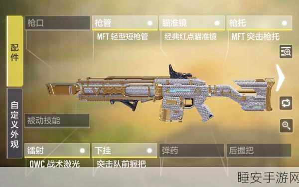 使命召唤手游,解锁皇家黑魂永久皮肤,全面攻略大揭秘