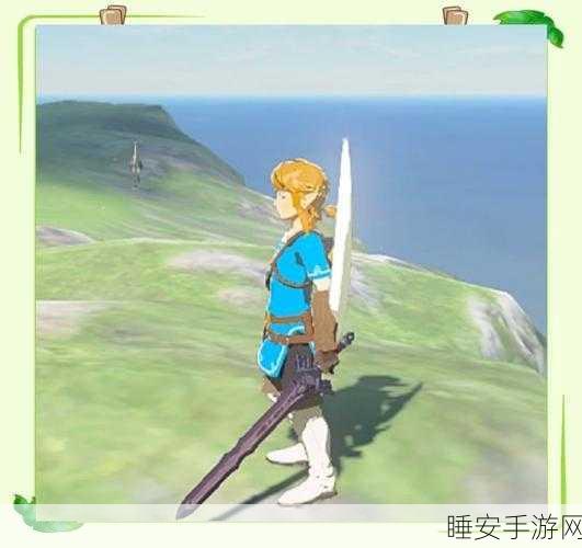 塞尔达无双,灾厄启示录武器培育全攻略,打造你的专属神器!