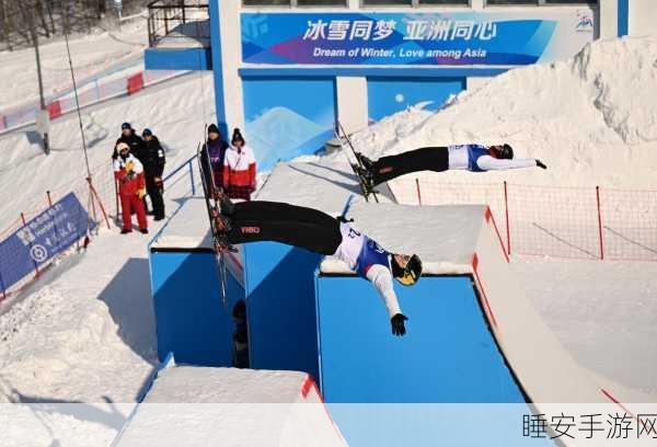 滑雪激斗赛，冬日冰雪盛宴，速度与技巧的终极对决！