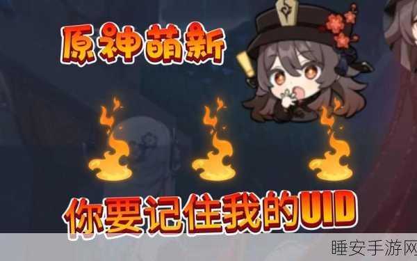 原神UID12开头揭秘，玩家身份与游戏内福利的深度解析