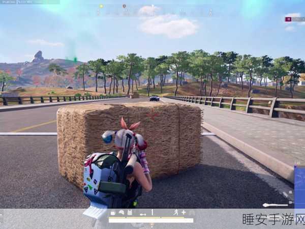 绝地求生手游，机场岛降落攻略大揭秘，智破堵桥战术赢好评