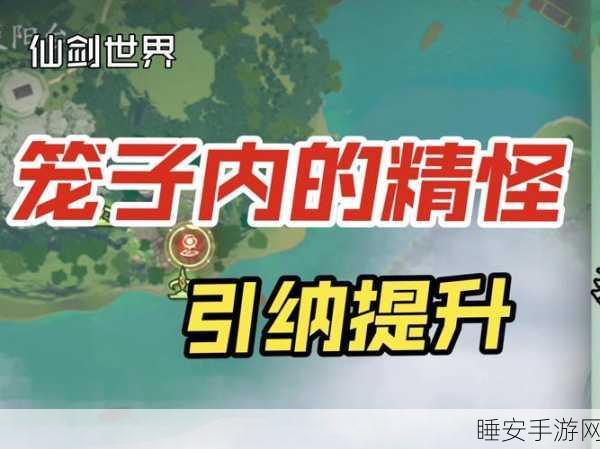 仙剑世界光速冲级攻略,揭秘等级飙升的绝密路径