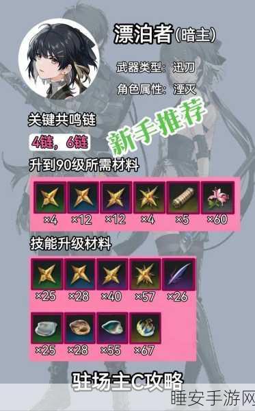 鸣潮渊武深度解析，培养价值及战斗技巧全揭秘