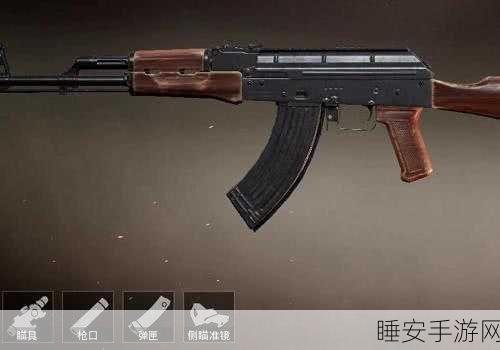 AKM高手专属?揭秘和平精英中AKM的独特魅力与高手玩法
