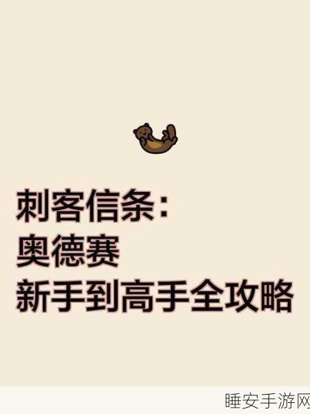 刺客信条高手秘籍，全面解析隐匿技巧与实战应用