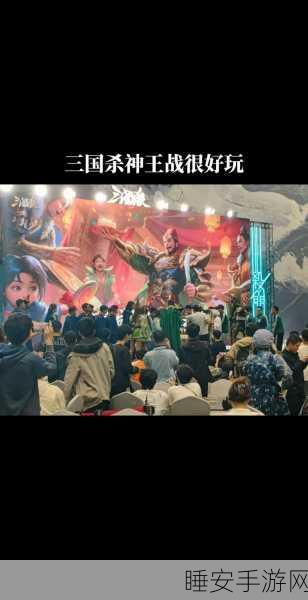 三国杀名将传王者之战+8攻略