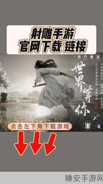 射雕手游公测盛典，独家礼包兑换码全揭秘及公测活动详解