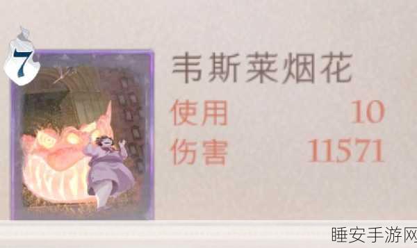 哈利波特魔法觉醒，揭秘赫敏烟花流，竞技场制胜攻略