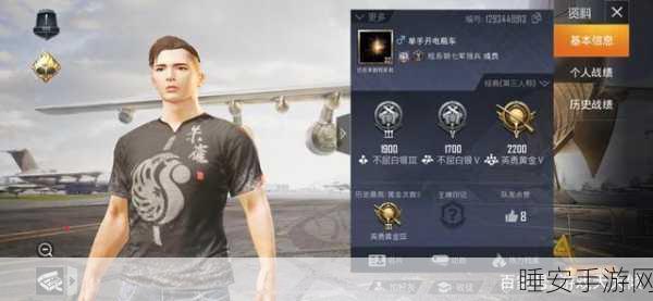 和平精英，揭秘热门昵称背后的创意与竞技风采
