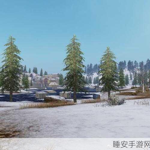 雪地奇兵,揭秘和平精英雪地地图苟分绝技与战术布局