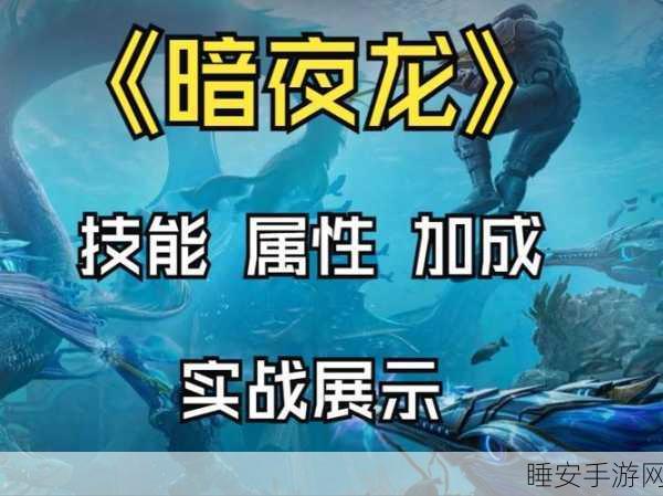 暗黑龙征服指南，新手蜕变高手的实战攻略与赛事揭秘