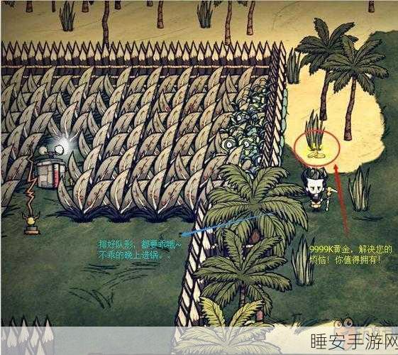 饥荒海难深度攻略，揭秘渡渡鸟的高效繁殖技巧