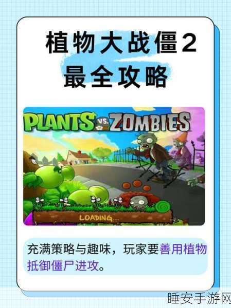 植物大战僵尸新手攻略，全面掌握基础布阵策略与技巧解析