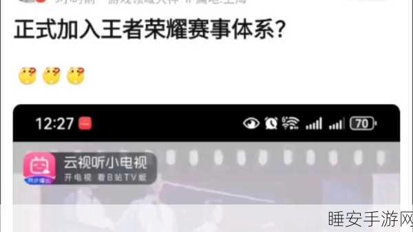 王者荣耀国际服vivo专享版上线，荣耀之战一触即发，赛事细节全揭秘