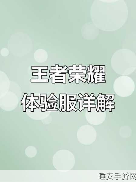 王者荣耀国际服vivo专享版上线，荣耀之战一触即发，赛事细节全揭秘