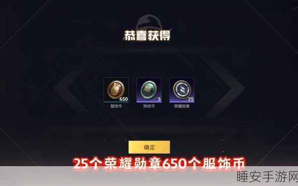和平精英专家巡查员套装获取攻略,解锁荣耀,驰骋战场新风尚