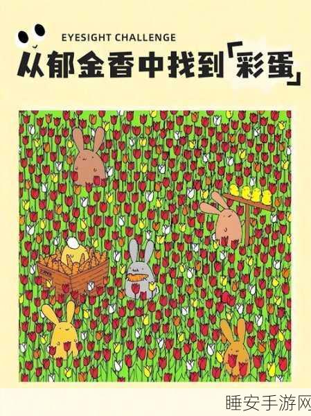 休闲找茬新体验,眼力大挑战游戏深度评测