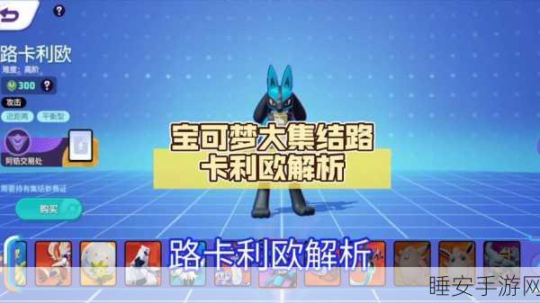 宝可梦大集结深度攻略,路卡利欧持有物搭配与竞技实战技巧全揭秘