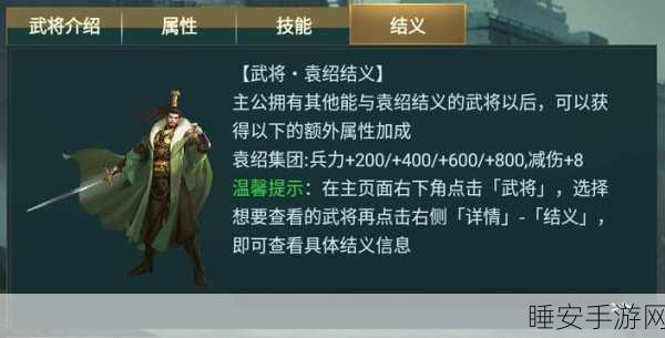 袁绍双修武将深度解析,三国志战略版全能攻略