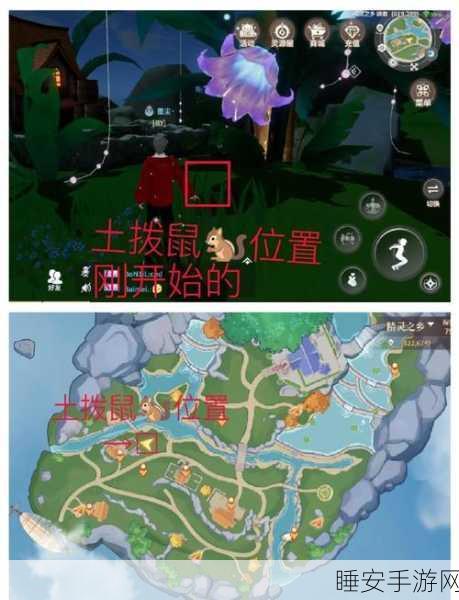 诺亚之心，私酿酒奇遇全攻略，解锁隐藏任务，赢取珍稀奖励秘籍！