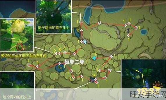 原神帕蒂沙兰全攻略,高效采集路线与位置揭秘