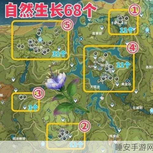 原神帕蒂沙兰全攻略,高效采集路线与位置揭秘