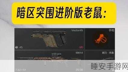 暗区突围高手进阶，MPX枪械深度改装攻略，解锁极致火力与操控性