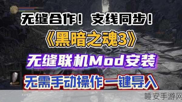 黑暗之魂2联机攻略,揭秘召唤好友成功率,技巧助你无缝联机冒险
