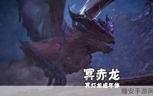 怪物猎人终极对决,揭秘冥赤龙挑战赛的巅峰之战