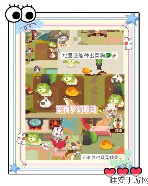 阴阳师手鼓之谜，解锁妖怪世界的隐藏挑战