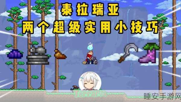 泰拉瑞亚技巧揭秘，轻松关闭狙击镜移动，提升游戏操作体验