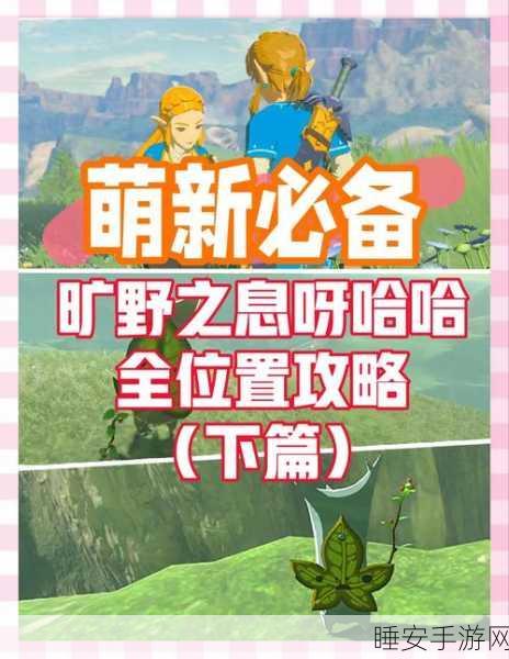 塞尔达传说米诺米诺遗迹全攻略,解锁智慧之光,深度探索策略揭秘