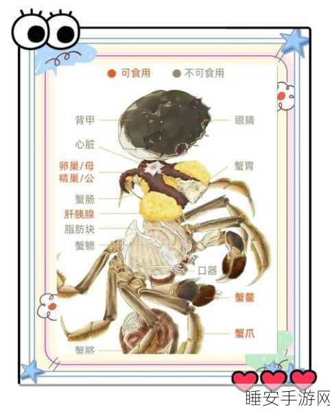 手游美食攻略,解锁创造与魔法蟹肉宴独家制作秘籍