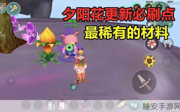 揭秘创造与魔法，高效采集夕阳花攻略大公开