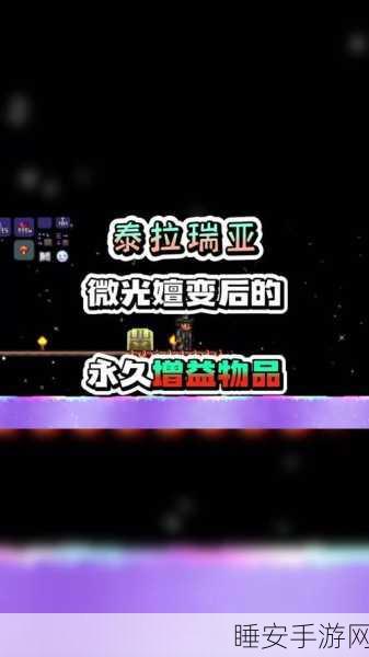 泰拉瑞亚探险秘籍，灵魂之靴获取攻略与奇妙旅程揭秘