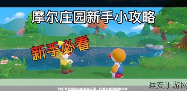 摩尔庄园手游，新年红道具全攻略与资源管理秘籍，助你高效玩转庄园！