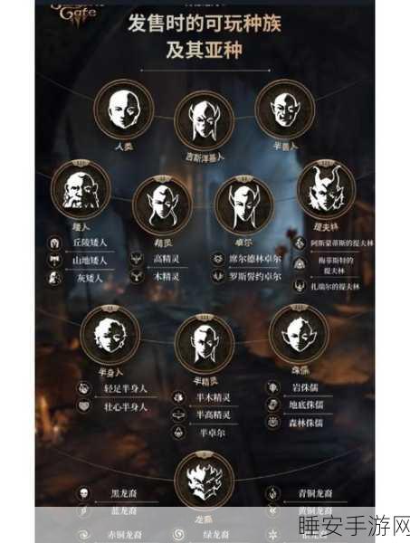 博德之门3,深度解析装备属性,打造无敌角色攻略