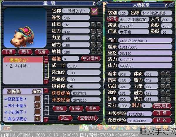 梦幻西游坐骑饰品深度解析,打造独一无二的炫酷坐骑秘籍