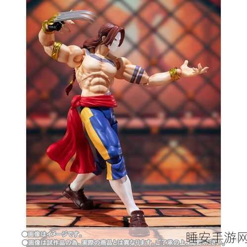 街头霸王5豪华赠品揭秘，解锁独家内容与竞技盛宴