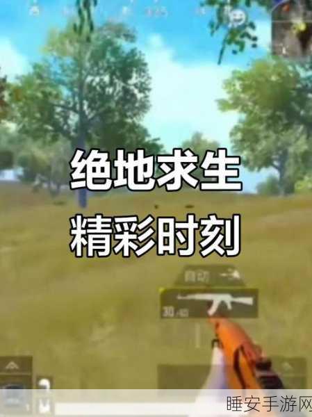 绝地重生?揭秘刺激战场更名和平精英背后的故事