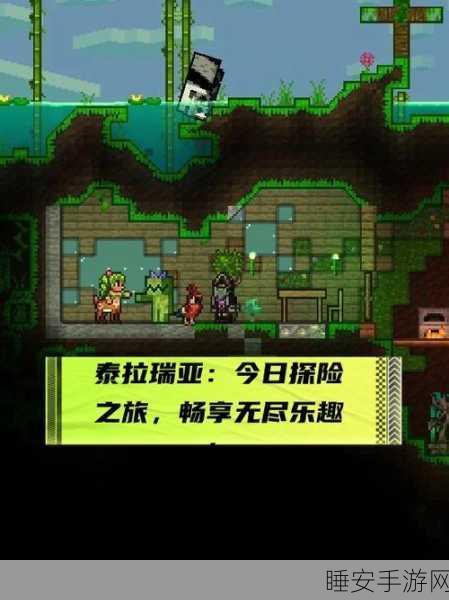 泰拉瑞亚新手攻略,解锁物品使用技巧,加速探险之旅