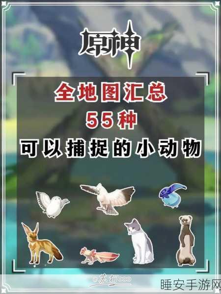 原神稻妻特色动物捕捉攻略,精准定位,赢取摄影大赛头名!