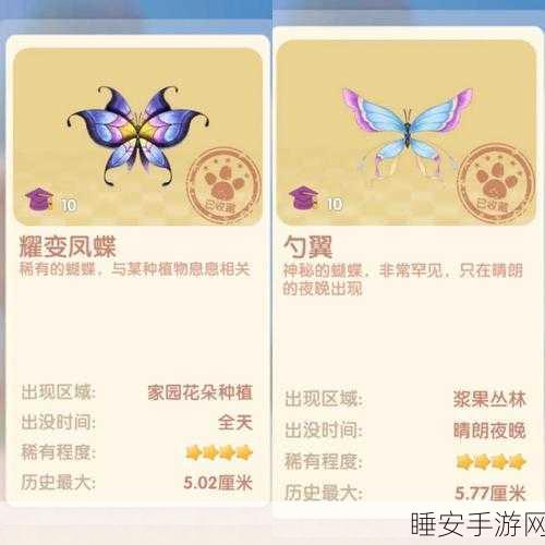 摩尔庄园探秘,寻找珍稀木兰青凤蝶的全方位攻略