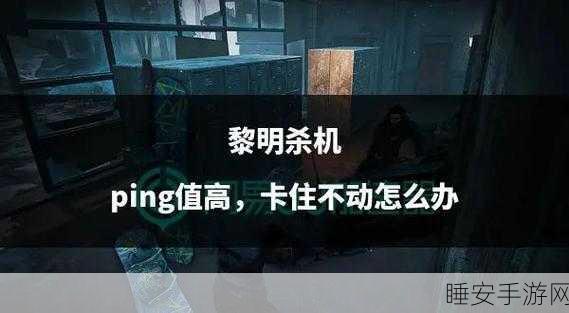 解决黎明杀机联机卡顿问题,畅享丝滑游戏体验!