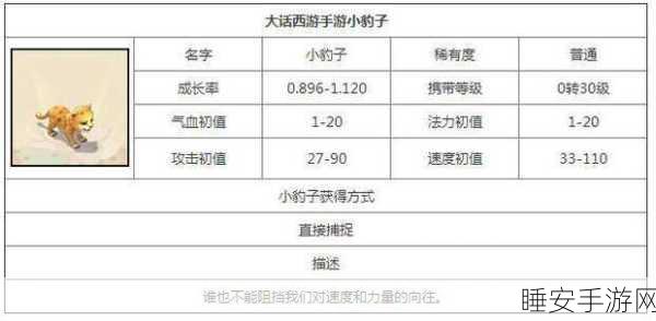 大话西游手游潜能点与属性点兑换全攻略
