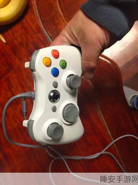 蛇年玩家福利,鬼泣5完美适配XBOX360手柄,解锁极致战斗体验全攻略